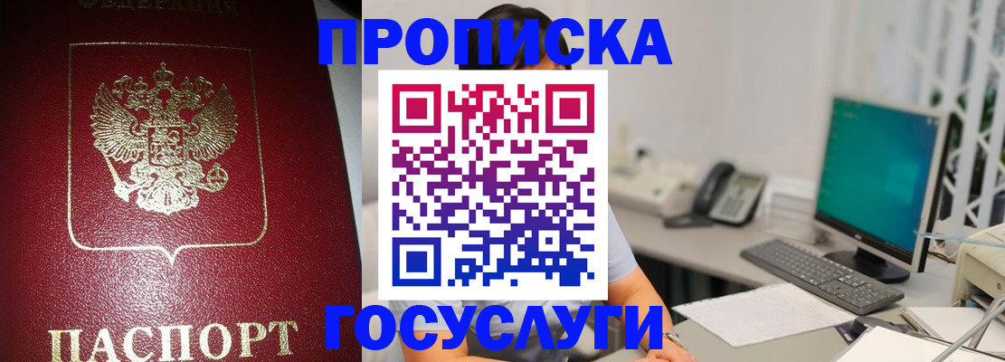 временная регистрация госуслуги в Палласовке